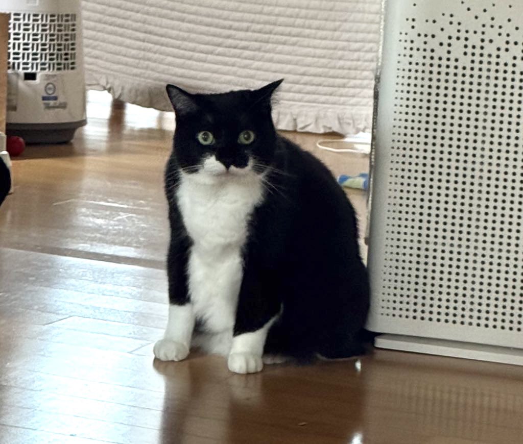 가디건이 더 벌어졌네….