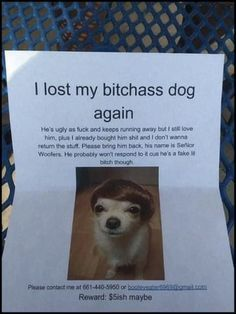 CRPG55's tweet photo. @perrocojonudo bitchass dog https://t.co/teYcrlZA76