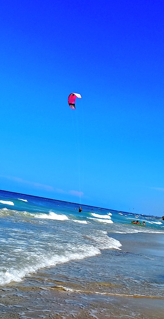 SabrinadP1's tweet photo. Proviamo a volare?
#blucobalto 🌊
#windvibes 🦋 https://t.co/vhuXaP7yQy