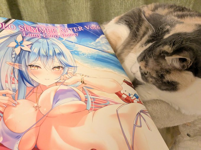 新刊サンプルが届きました! 現在、常駐の色校チェックのプロの方に確認してもらっております! #C106