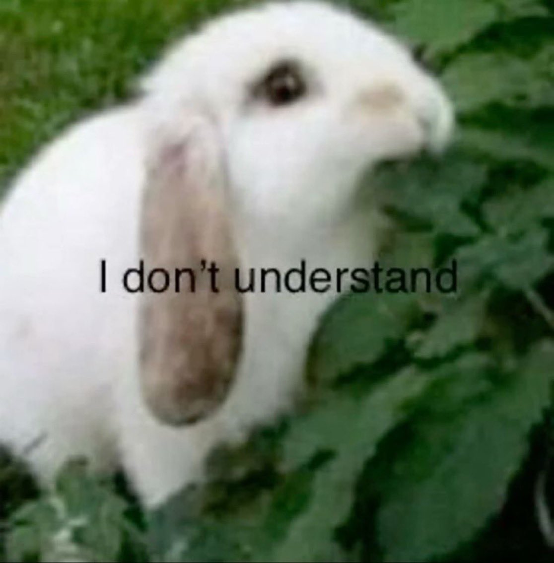 i like when lightbulbs are  more  orange than blue .    it’s like a little sun ..  ☀️