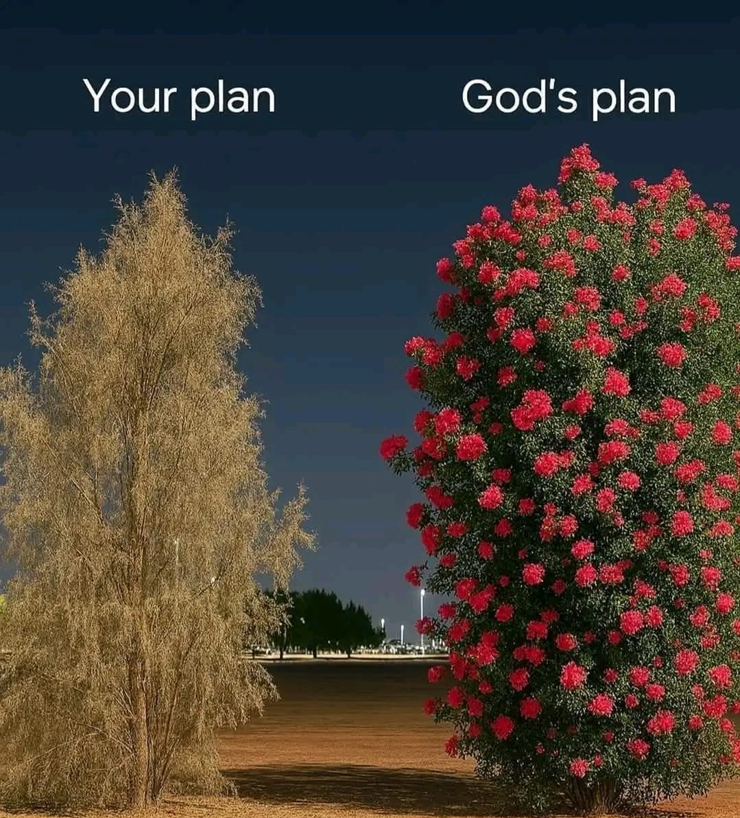 God's plan. Alwayyyyyyys.