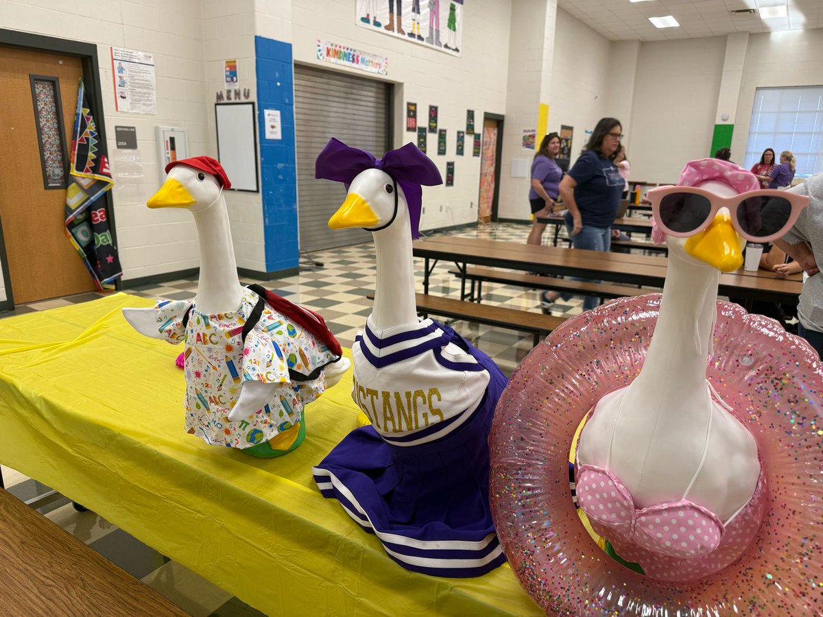 A gaggle of goose have arrived at SWE! Clearly a few are still on summer break! Stay tuned to see what they will be up to this year!