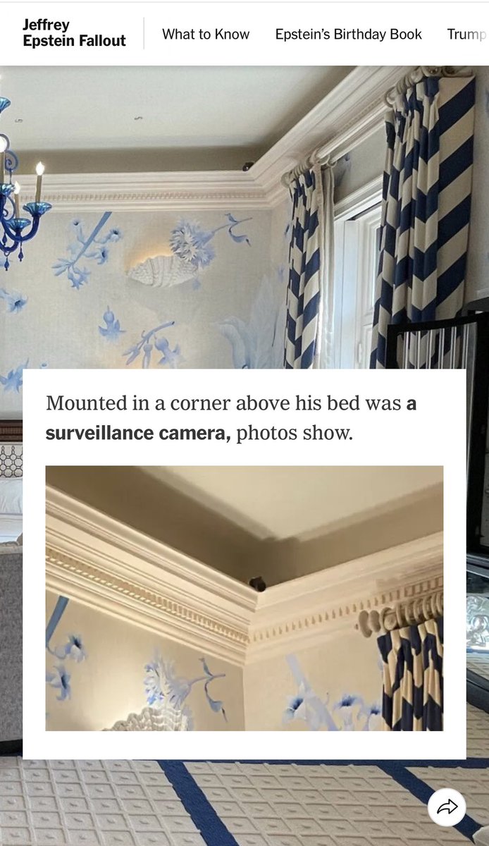 New York Times obtains photographs showing surveillance cameras inside Jeffrey Epstein's Manhattan townhouse.

You know what that means.

nytimes.com/2025/08/05/us/…