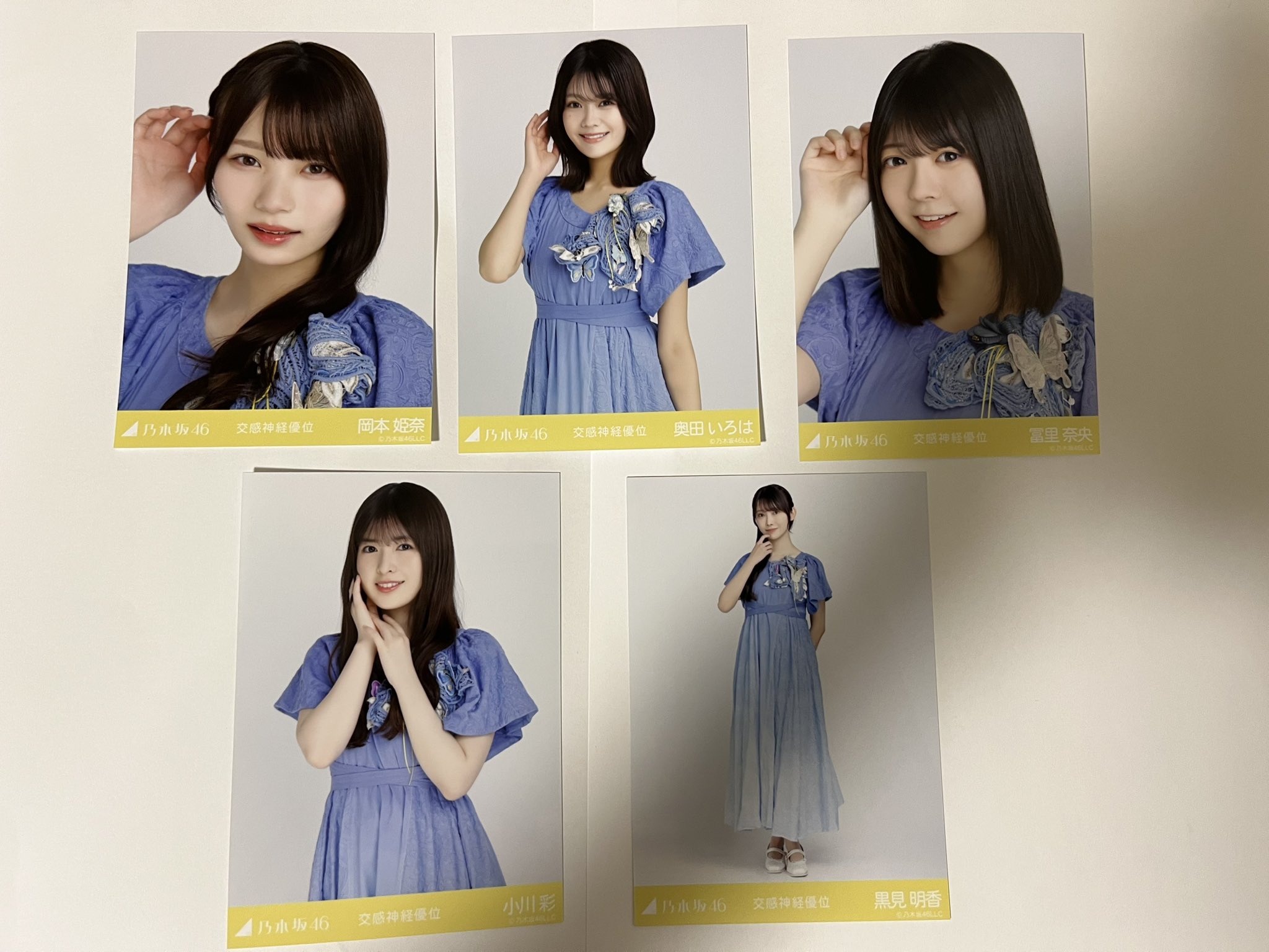乃木坂46 生写真 未開封 5パック 乃木坂46 OFFICIAL WEB SHOP | 乃木坂46 グッズ通販サイト