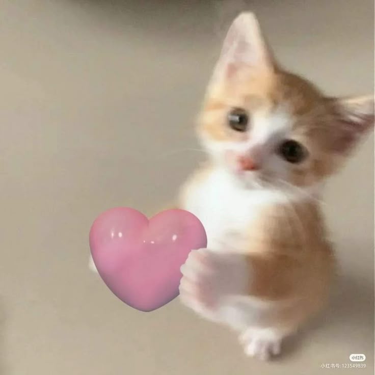 the world is beautiful and I'm so full of love to give come come don't be shy