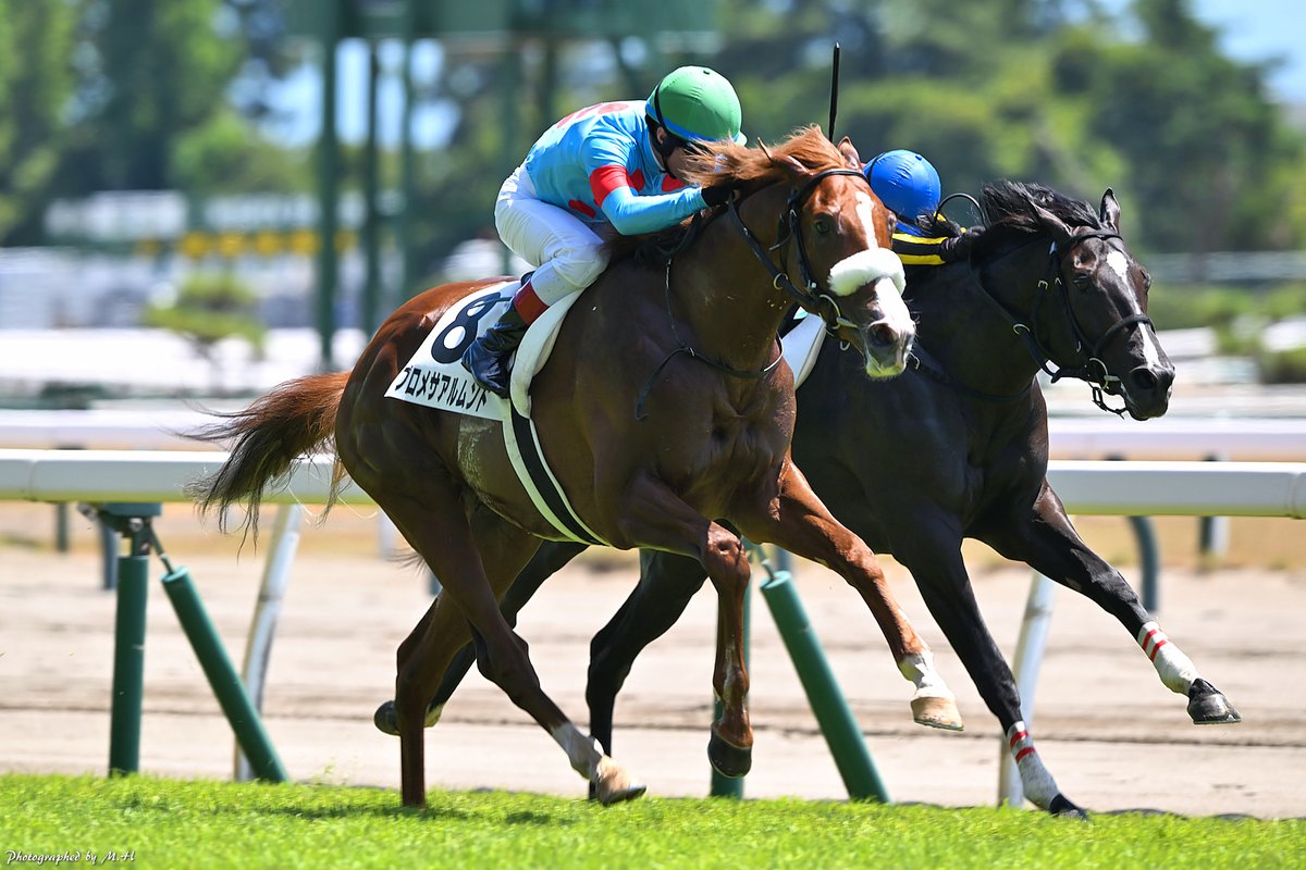 horse_memorys's tweet photo. プロメサアルムンド https://t.co/8BjwtiJlIU