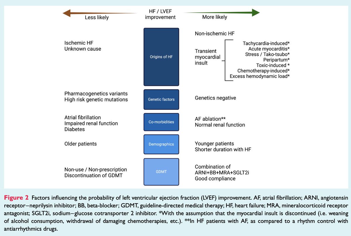 What does “recovery” in #HeartFailure really mean?
#EJHF consensus outlines 3 scenarios of #LVEF trajectories in #HFrEF / #HFmrEF:

📍Improvement = ⬆️EF≥10 pts but still &lt;50%, persistent structural disease, relapse risk⬆️
📍Remission = ⬆️EF to ≥50%, minimal structural issue,