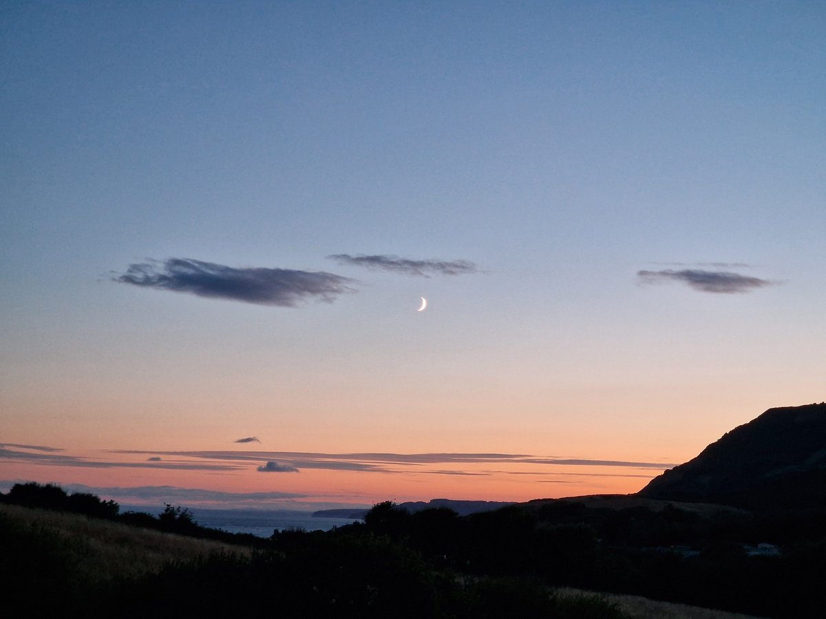 And if, by #happenstance,
You found yourself 
Here,
Now,
As the sky cools 
from #crimson to #sapphire,
As the #sparrows 
settle in the #elm
And the kestrels land
To claim their cliff,
Would you sit with me?
Could we be #together,
Bodies close,
Palms in the grass,
Minds far from