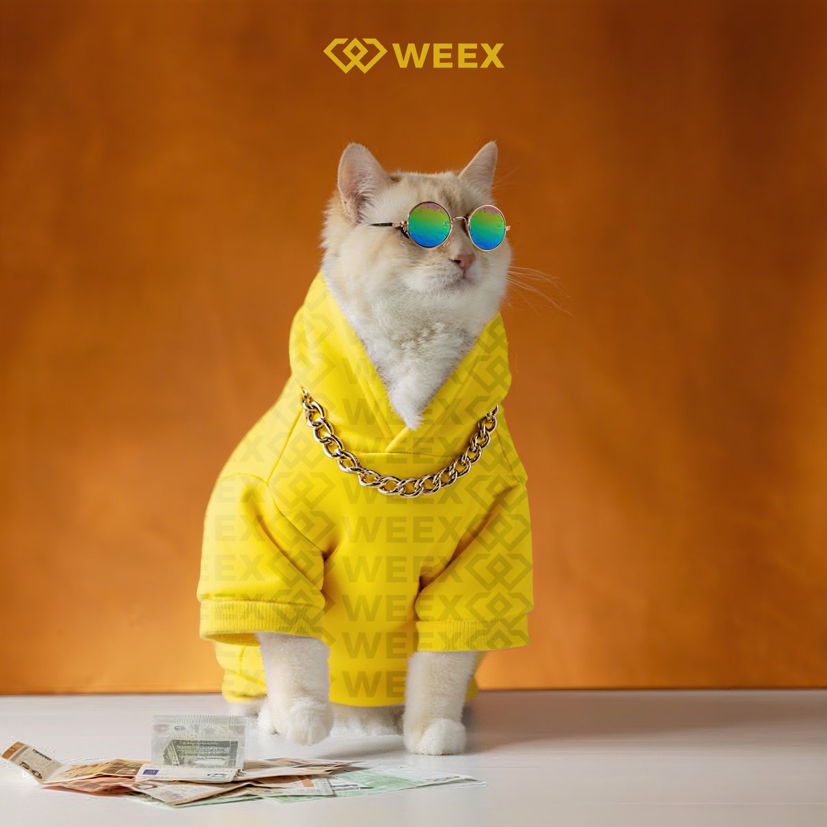 weexglobal_ch's tweet image. GM! 被自己帥醒😎
#OOTD #CatVibes #早安打卡 #WEEX交易所