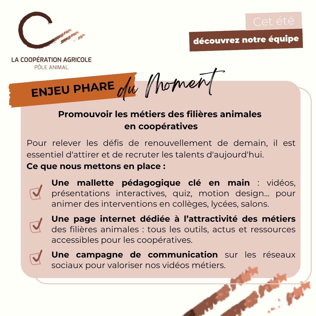 La Coopération Agricole Pôle Animal tweet media