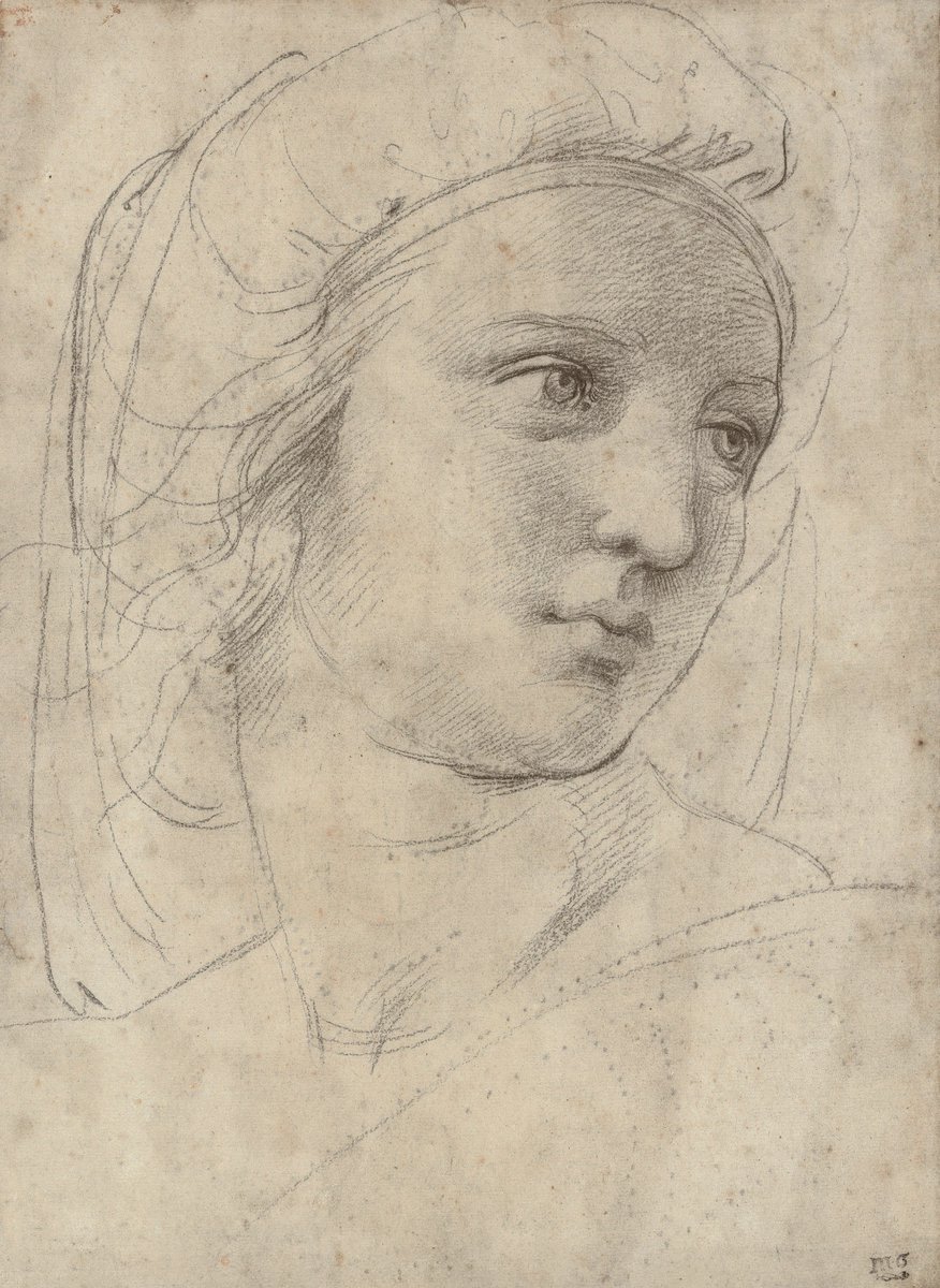 Raphael #raphael