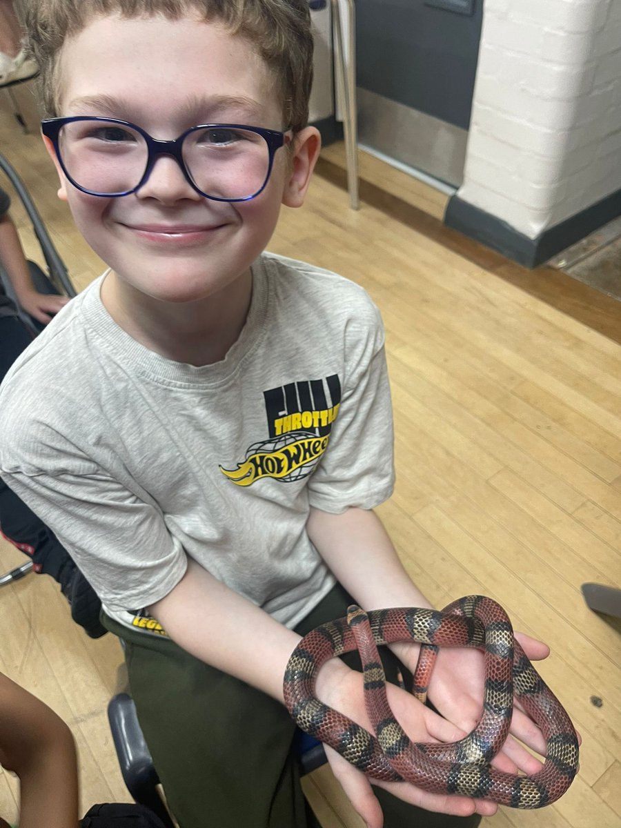 Inclusive Sports Academy CIC (@inclusiveevery1) on Twitter photo A huge thank you to <a href="/An1maltast1c/">AnimalTastic</a> for allowing us to meet their wonderful collection of creatures yesterday! We had a blast, and loved to learn more about our new friends!
Funded by <a href="/SolihullCouncil/">Solihull Council</a>
#InclusiveSportsSummerCamp #SolihullHAF #HAF2025 A huge thank you to <a href="/An1maltast1c/">AnimalTastic</a> for allowing us to meet their wonderful collection of creatures yesterday! We had a blast, and loved to learn more about our new friends!
Funded by <a href="/SolihullCouncil/">Solihull Council</a>
#InclusiveSportsSummerCamp #SolihullHAF #HAF2025