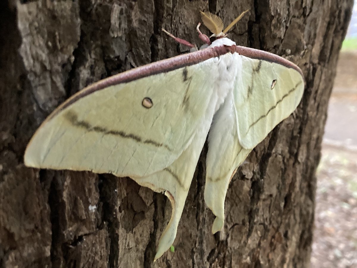 伊丹 琢家@PROPEL tweet media