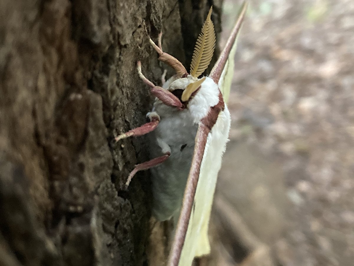 伊丹 琢家@PROPEL tweet media