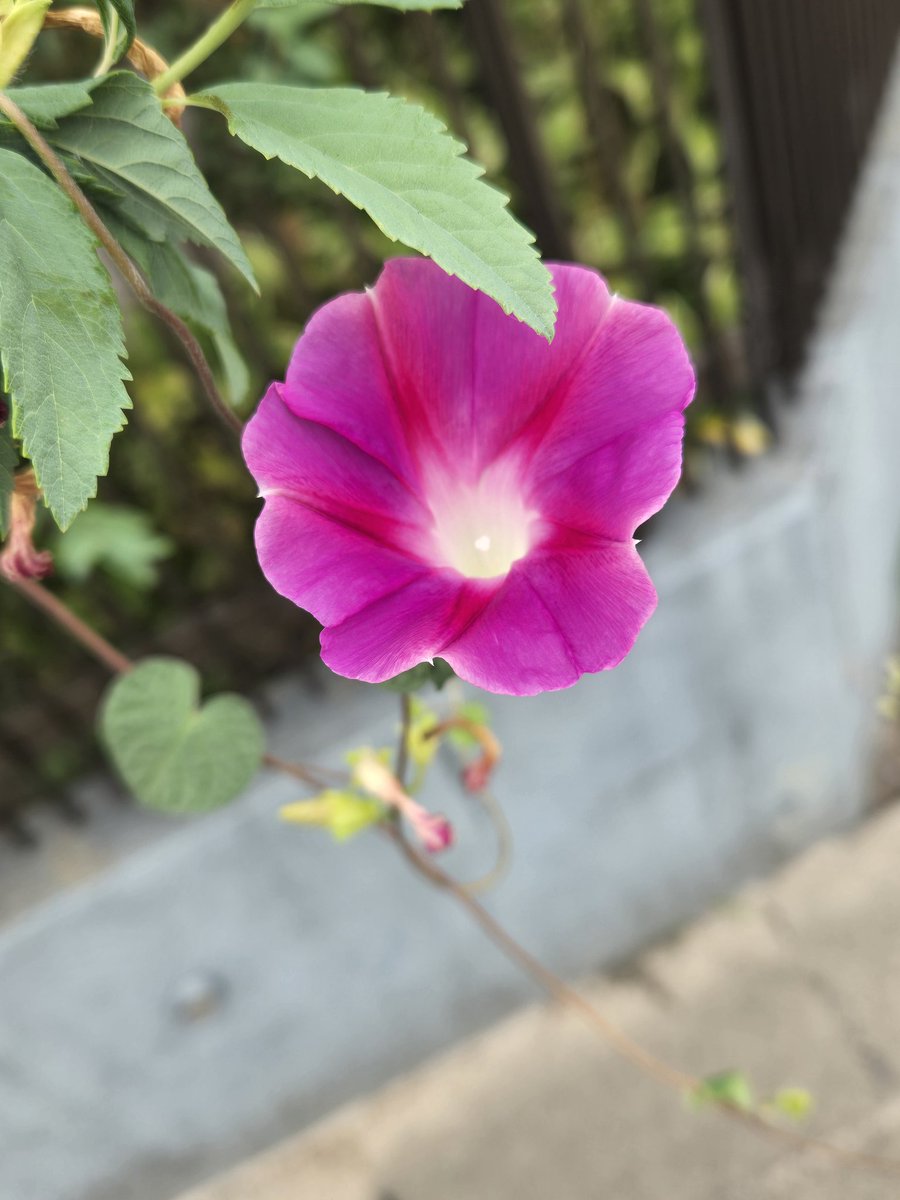 <a href="/keeper_of_books/">Adam Treeshepherd Rutsch</a> Good afternoon