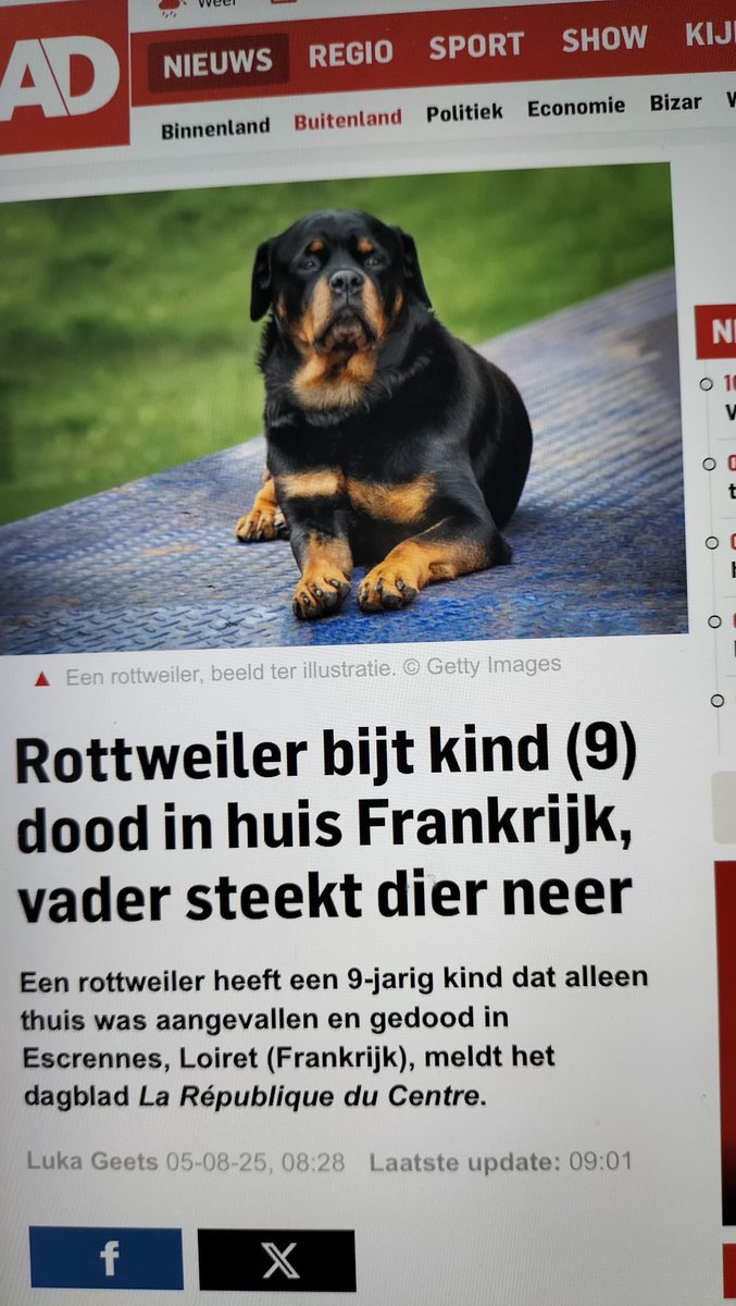 Maar de wolf …