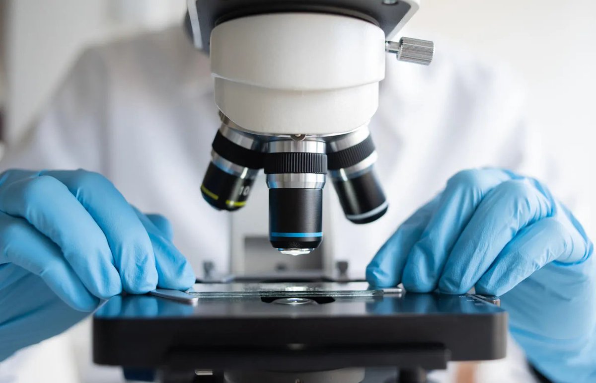 College of Medicine and Health (UoB) (@unibirm_cmh) on Twitter photo Researchers from <a href="/unibirmingham/">Uni of Birmingham</a> have uncovered a completely new mechanism by which fat cells control how they store and release fat. A collaboration with <a href="/UofGlasgow/">University of Glasgow</a> <a href="/uni_copenhagen/">University of Copenhagen</a> <a href="/UMontreal/">Université de Montréal</a>.
<a href="/UoB_MSS/">Metabolism and Systems Science (MSS)</a> <a href="/BirminghamBRC/">NIHR Birmingham Biomedical Research Centre</a> <a href="/COMPARE_UoBUoN/">Centre Of Membrane Proteins and REceptors</a> birmingham.ac.uk/news/2025/rese… Researchers from <a href="/unibirmingham/">Uni of Birmingham</a> have uncovered a completely new mechanism by which fat cells control how they store and release fat. A collaboration with <a href="/UofGlasgow/">University of Glasgow</a> <a href="/uni_copenhagen/">University of Copenhagen</a> <a href="/UMontreal/">Université de Montréal</a>.
<a href="/UoB_MSS/">Metabolism and Systems Science (MSS)</a> <a href="/BirminghamBRC/">NIHR Birmingham Biomedical Research Centre</a> <a href="/COMPARE_UoBUoN/">Centre Of Membrane Proteins and REceptors</a> birmingham.ac.uk/news/2025/rese…