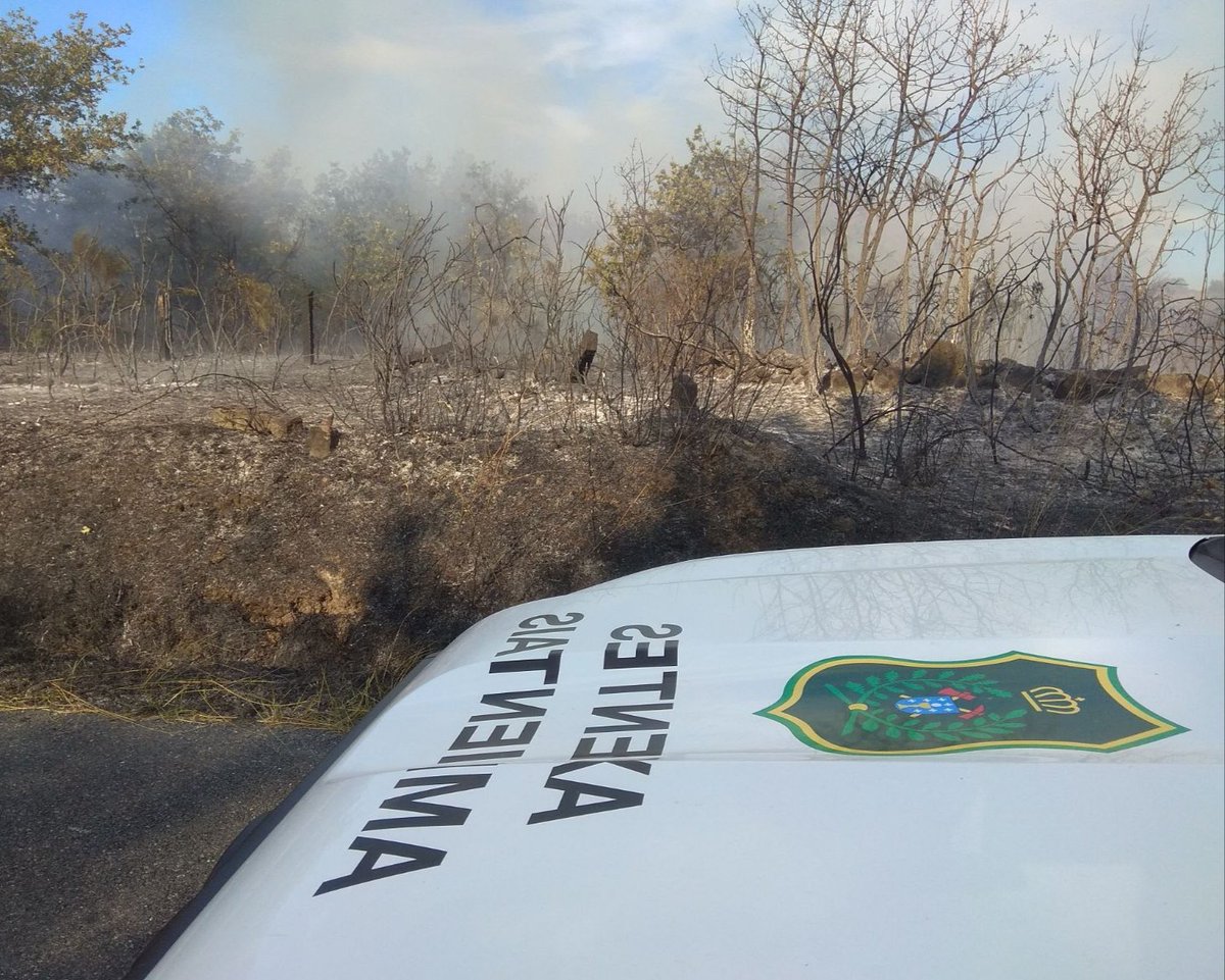 AxentesGz's tweet photo. Todo o noso apoio aos compañeiros q nestos duros dias de #IIFF están dirixindo e coordinando os medios de extinción e poñendo a sua vida en risco x defender o noso rural. Por riba do seu esforzo e da penosidade do seu traballo teñen q sufrir escarnios sin ningún sentido en #RRSS https://t.co/34cJB1Dh5E