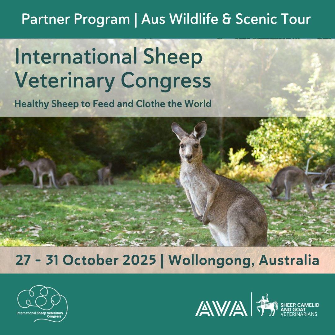 Australian Veterinary Association (@austvetassoc) on Twitter photo Bringing the family along to ISVC in Wollongong? Choose from the iconic🚶Blue Mountains, ✨ the Best of Sydney or 🐨Australia Wildlife and Scenic Tours!
👉 bit.ly/46IYgV2 
#teamsheep #sheepvets Bringing the family along to ISVC in Wollongong? Choose from the iconic🚶Blue Mountains, ✨ the Best of Sydney or 🐨Australia Wildlife and Scenic Tours!
👉 bit.ly/46IYgV2 
#teamsheep #sheepvets