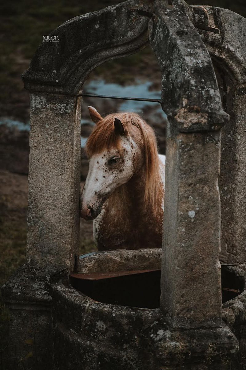 الناس كلهم مبتلون 
لا تغرنك النعم الظاهرة على البعض ، فتقارن نفسك بغيرك
كل له من الخفايا مالا يعلمه الا الله
فلا تنظر لما حرمت منه في غيرك ، فربما انت تملك ما حرم هو منه وانت لا تدري