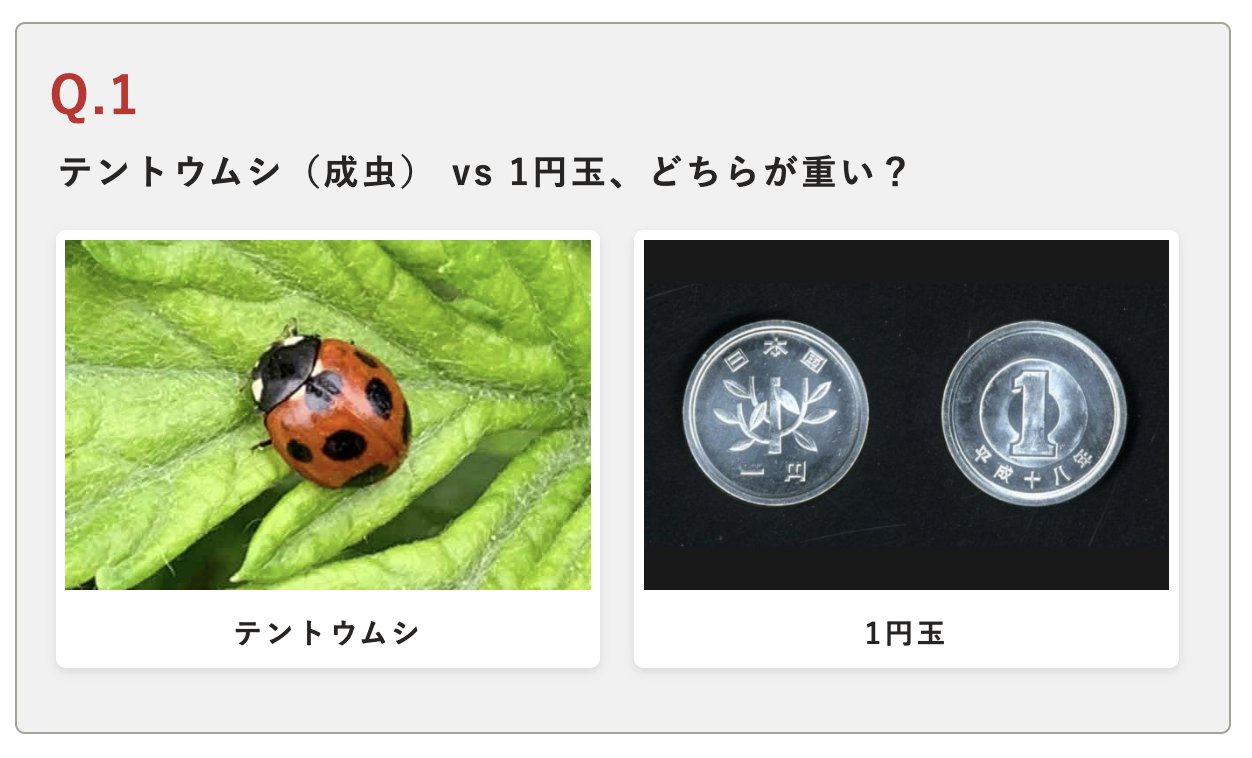 yukki様2点おまとめ Z/Xを予約してPRカードをもらおう！キャンペーン 爆煌！閃光星