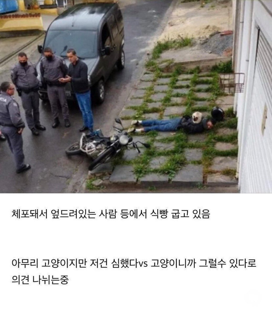 북크북크 (@akzkfltm2) on Twitter photo 