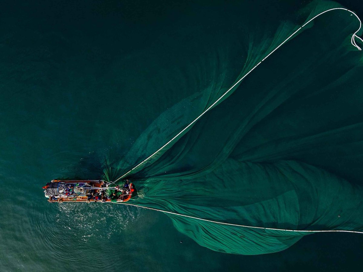 OGS (@ogs_it) on Twitter photo 🐟La pesca a strascico riduce la #biodiversità del #Mediterraneo. Uno studio OGS e <a href="/ISPRA_Press/">ISPRA - Ist. Sup. Protezione e Ricerca Ambientale</a> mostra che i fondali meno impattati ospitano più specie, incluse quelle vulnerabili. #marinestrategy
🔗ogs.it/it/notizie/la-…
📸Nghĩa Đặng /Pixabay 🐟La pesca a strascico riduce la #biodiversità del #Mediterraneo. Uno studio OGS e <a href="/ISPRA_Press/">ISPRA - Ist. Sup. Protezione e Ricerca Ambientale</a> mostra che i fondali meno impattati ospitano più specie, incluse quelle vulnerabili. #marinestrategy
🔗ogs.it/it/notizie/la-…
📸Nghĩa Đặng /Pixabay