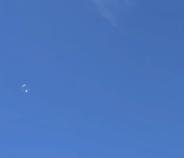 キレイな空でした🫧
見上げてくれてありがとう🐶