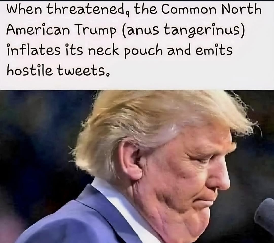 MadBro  (@madbroax) on Twitter photo 