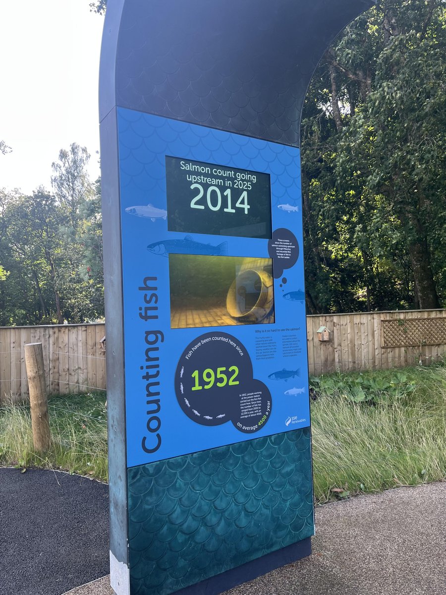 Ladder count 2014
Tuesday 5/8/25    10:47 BST