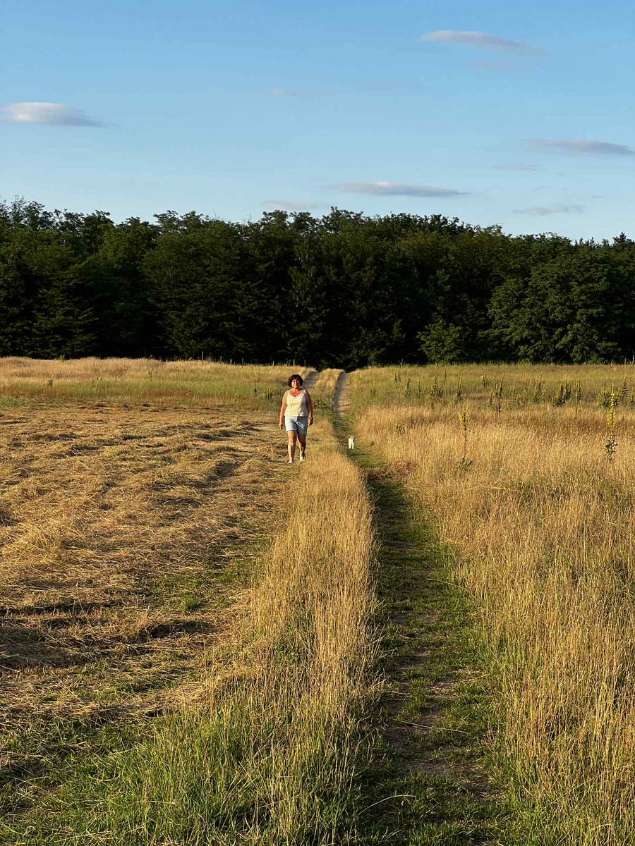 Életrajz

Ha tudni akarod: ki voltam,
Ne keress rólam adatot.
Az életet átrobotoltam,
Éltem, ahogyan adatott.
Sohsem ott voltam, ahol voltam,
Hanem, hol a messzeség kékül...
Kötél nélkül hintáztam,
Szárnyak nélkül repültem,
S boldog voltam boldogság nélkül.

Falu Tamás