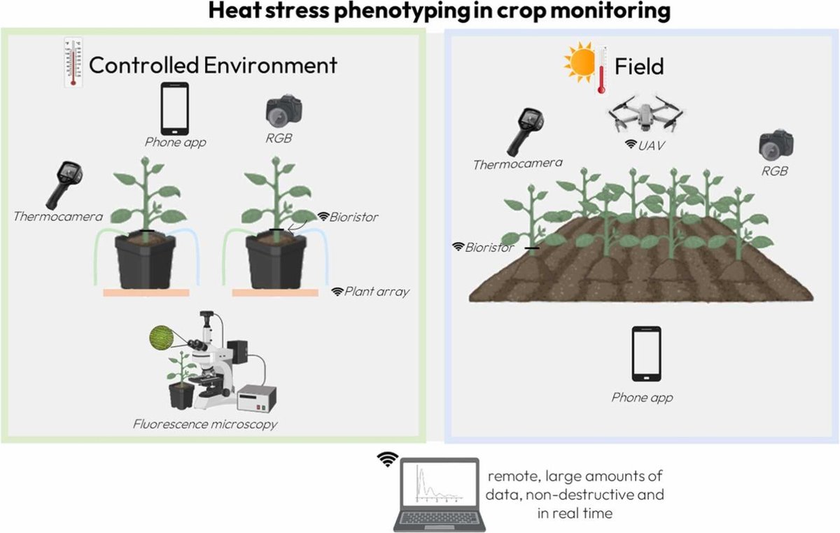 Abiotic stress in plants (Green Survivors) (@abioticstress) on Twitter photo Review by Palermo et al <a href="/FraResentini/">Francesca Resentini</a> <a href="/mendeslab/">Marta A. Mendes🌱</a> <a href="/lab_costa/">Alex Costa</a> <a href="/ElsevierConnect/">Elsevier</a>
#Heat Stress #Phenotyping: A Key for Plant Selection in a #Warming Climate
sciencedirect.com/science/articl…
<a href="/sci_plant/">Plant Science</a> <a href="/NAPPN_org/">North American Plant Phenotyping Network</a> <a href="/Plant_Papers/">吉成 晃 / Akira YOSHINARI</a> <a href="/sci_plant/">Plant Science</a> <a href="/Hassaan_Shehu/">♣Otunba Of Sokoto♣</a> <a href="/CropGlobal/">Global Sustainable Agriculture & Environment</a> <a href="/best_crop/">BEST-CROP</a> <a href="/gain4crops/">Gain4Crops</a> Review by Palermo et al <a href="/FraResentini/">Francesca Resentini</a> <a href="/mendeslab/">Marta A. Mendes🌱</a> <a href="/lab_costa/">Alex Costa</a> <a href="/ElsevierConnect/">Elsevier</a>
#Heat Stress #Phenotyping: A Key for Plant Selection in a #Warming Climate
sciencedirect.com/science/articl…
<a href="/sci_plant/">Plant Science</a> <a href="/NAPPN_org/">North American Plant Phenotyping Network</a> <a href="/Plant_Papers/">吉成 晃 / Akira YOSHINARI</a> <a href="/sci_plant/">Plant Science</a> <a href="/Hassaan_Shehu/">♣Otunba Of Sokoto♣</a> <a href="/CropGlobal/">Global Sustainable Agriculture & Environment</a> <a href="/best_crop/">BEST-CROP</a> <a href="/gain4crops/">Gain4Crops</a>