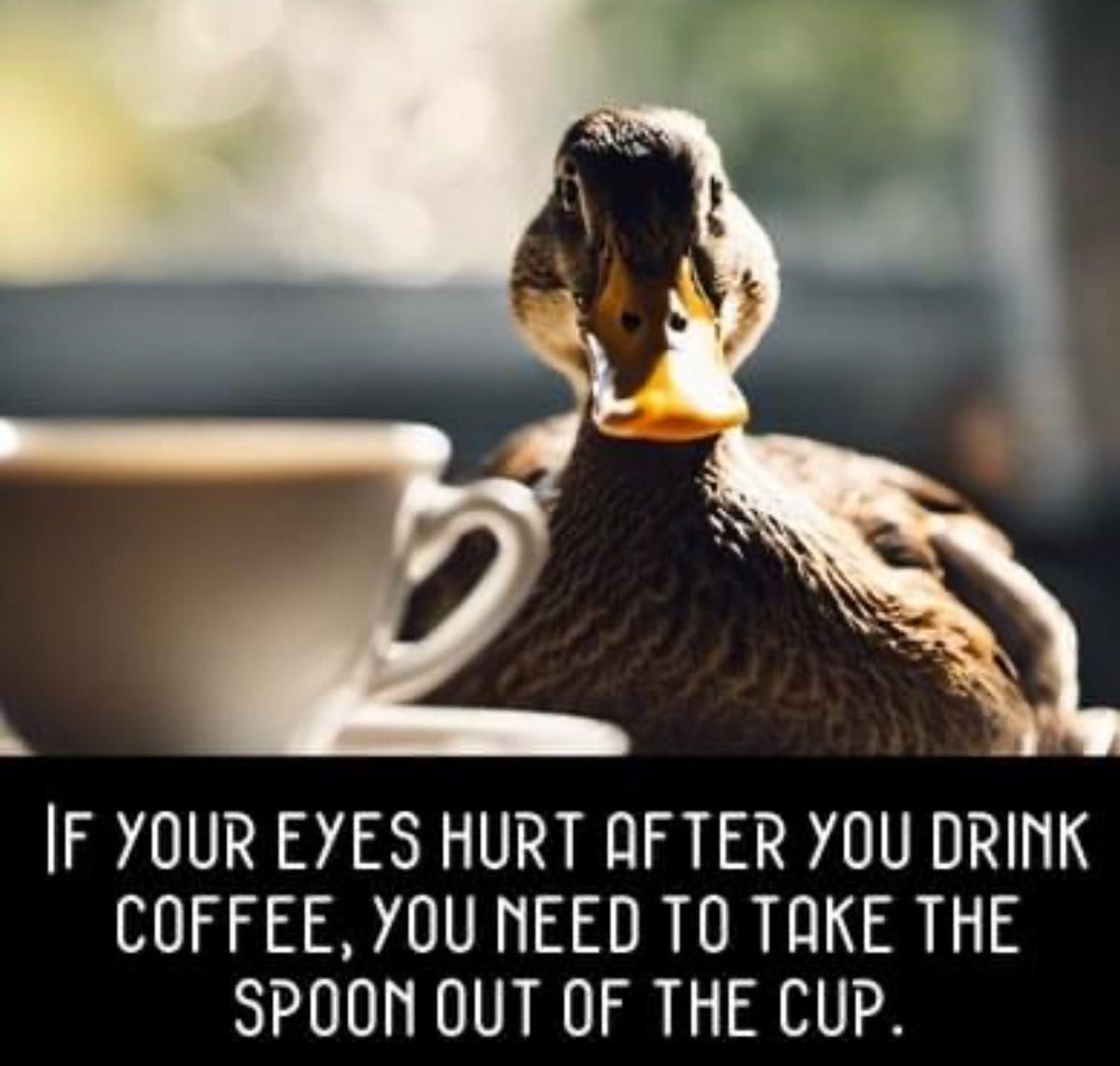 Just a helpful tip for you this morning! 😉☕️ Good morning!! ☕️🥄 We Monday was a crazy one, hopefully today is a bit less chaotic! It’s going to e a hot one here this week! 🥵 Saty cool!! Have a terrific day!! 
•
•
•
•
•
 #ralphandvicki #mmmcoffee #teamoutdoors