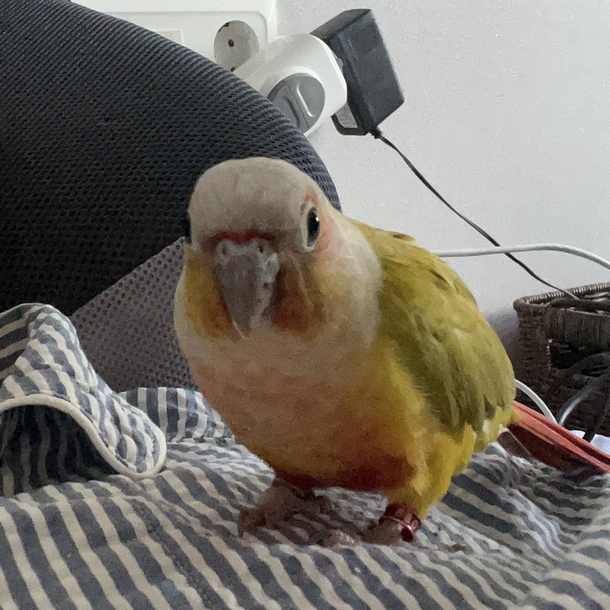 둘째는 뭔가 광…미가 있음..