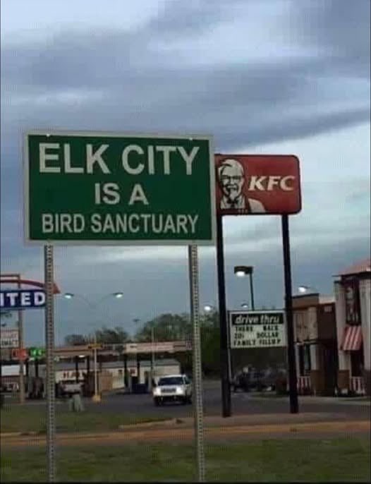 Pitoboy (@peet1334) on Twitter photo 