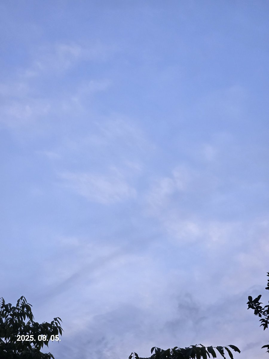 하늘은 맑고
오랜만에 바람은 선선하고
매미는 짝을 찾아 울고
왠지 쓸쓸하네