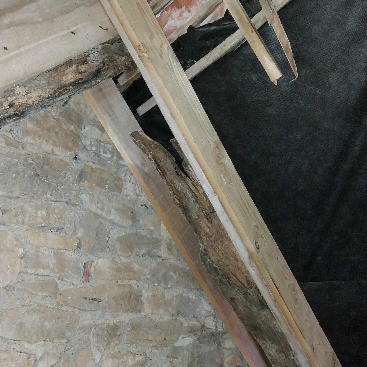 #nosartisansontdutalent 
😓😤💀