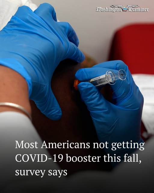 Ted Merrit (@merrit_ted) on Twitter photo 