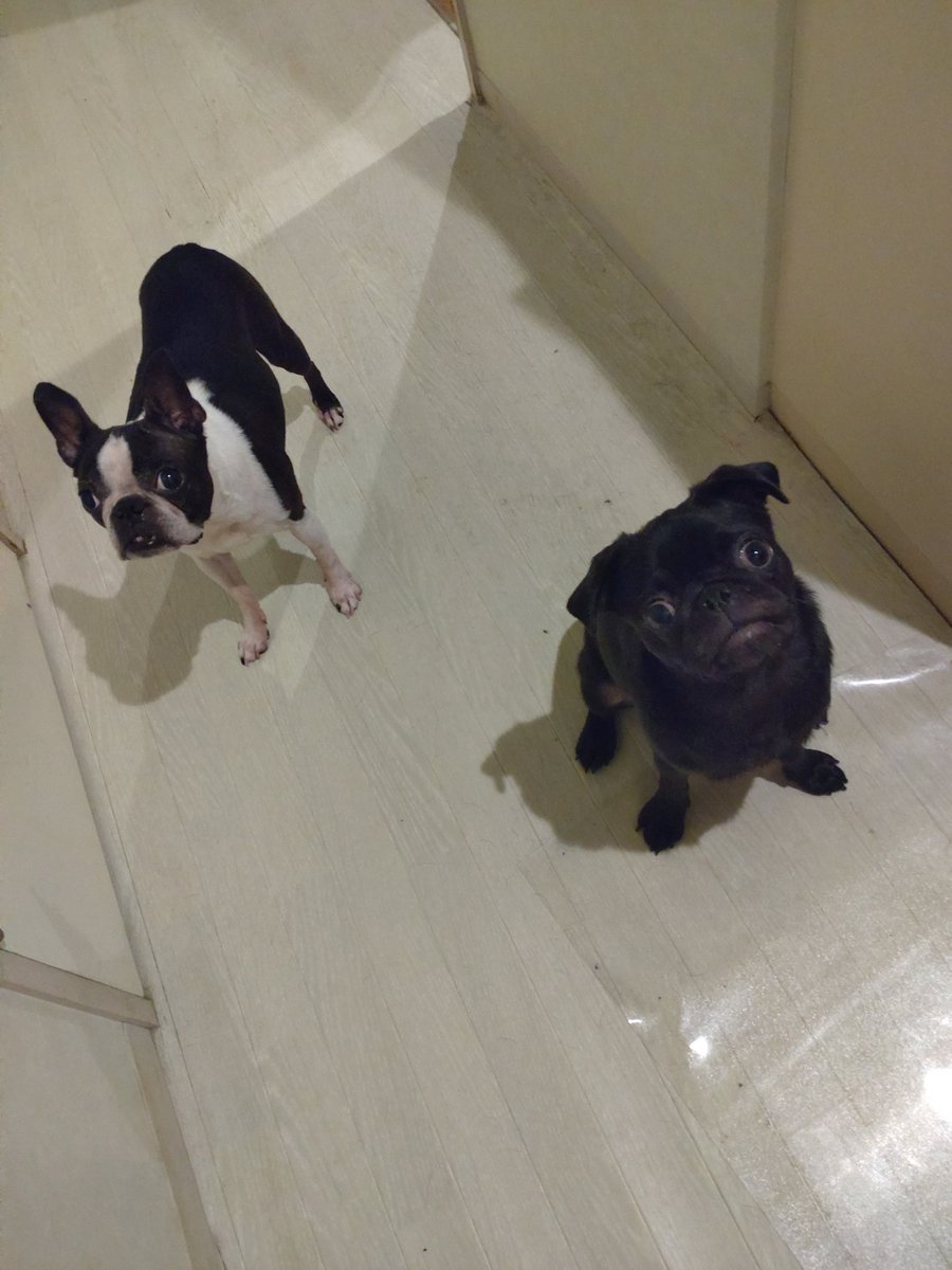 ど〜にも平日〜
災害レベルの灼熱列島皆様お元気ですか？夜でも熱中症になれそうなくらいですね。気を付けながら飲みましょ！

8/5㈫たっくん、ヴェラ、マダム
8/6㈬たっくん、ヴェラ、マダム
8/7㈭マダム、たっくん

全日21時から店内涼しくしてお待ちしております。
まずはご連絡を。