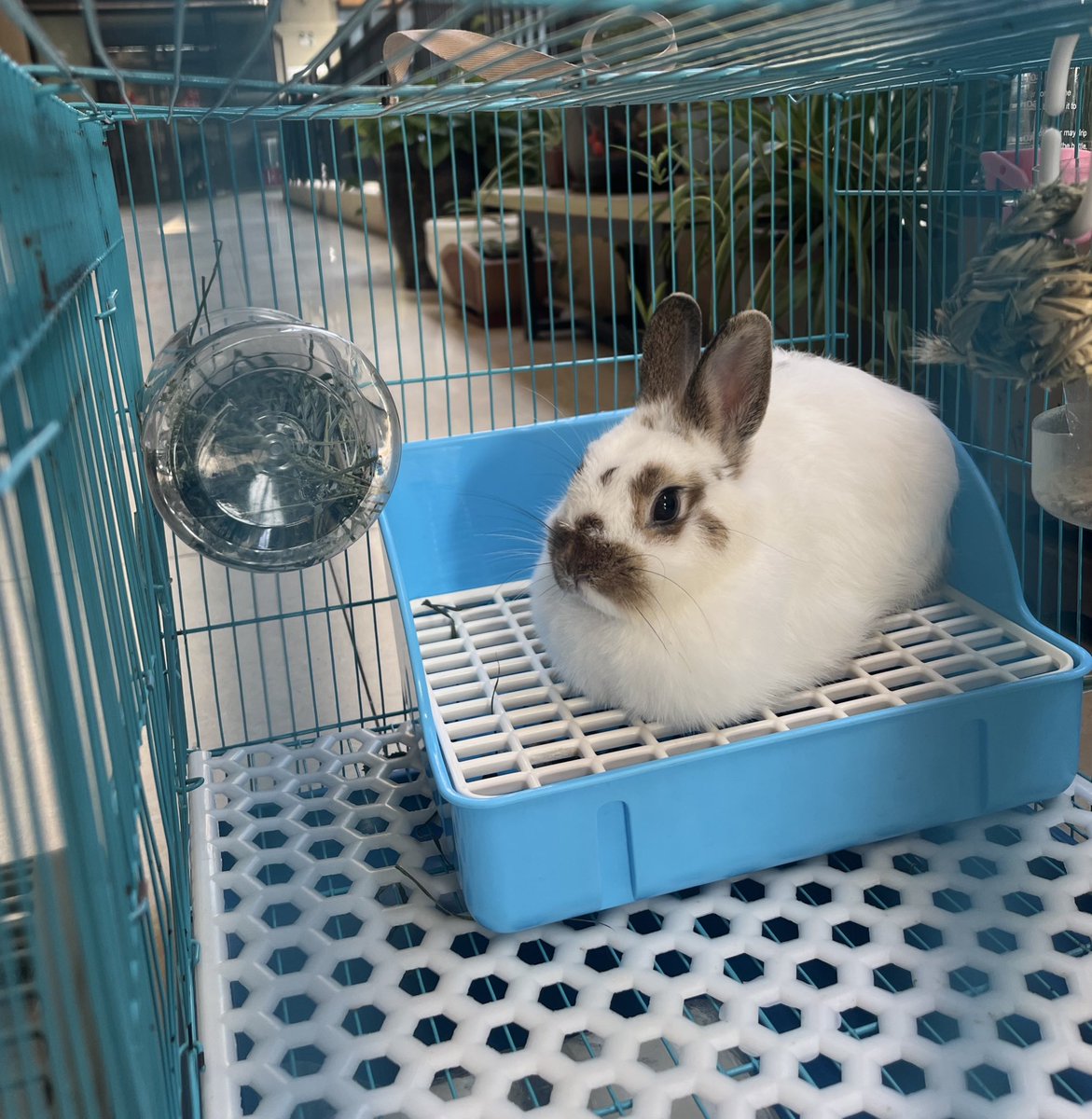 Rusron.锈铁🩸 (@rusron1) on Twitter photo 