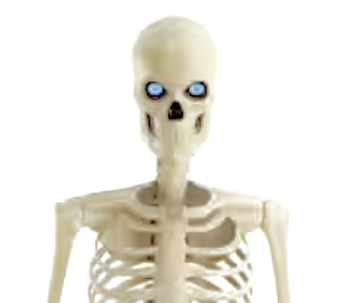 FOR $279 HOME DEPOT will sell you a 6.5 ft. Grave &amp; Bones Animated LED App Controlled “Ultra Skelly with LifeEyes”. For $20 more you can get a 12ft Skelly. More frightening: thousands of local hardware stores were financial reduced to a pile of bones.

homedepot.com/b/Holiday-Deco…
