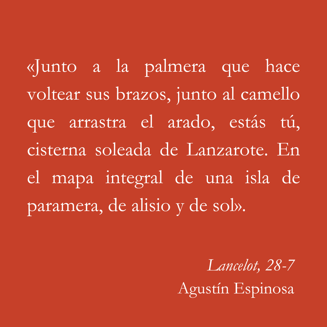 Detalles que conforman el paisaje y las geografías…

Un imprescindible para aquellas personas que viajen a la isla de Lanzarote este verano 🌊 
«Lancelot, 28-7» de Agustín Espinosa.  👉itinerariaeditorial.com/producto/lance…