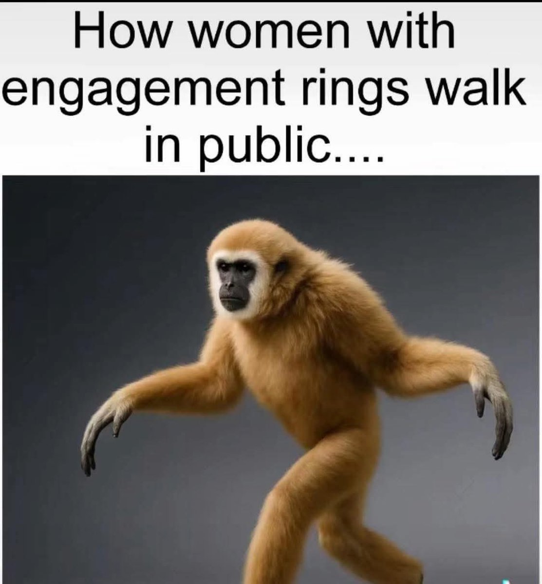 🦨 Uncle Skunkle 🦨 (@lauria1960) on Twitter photo 