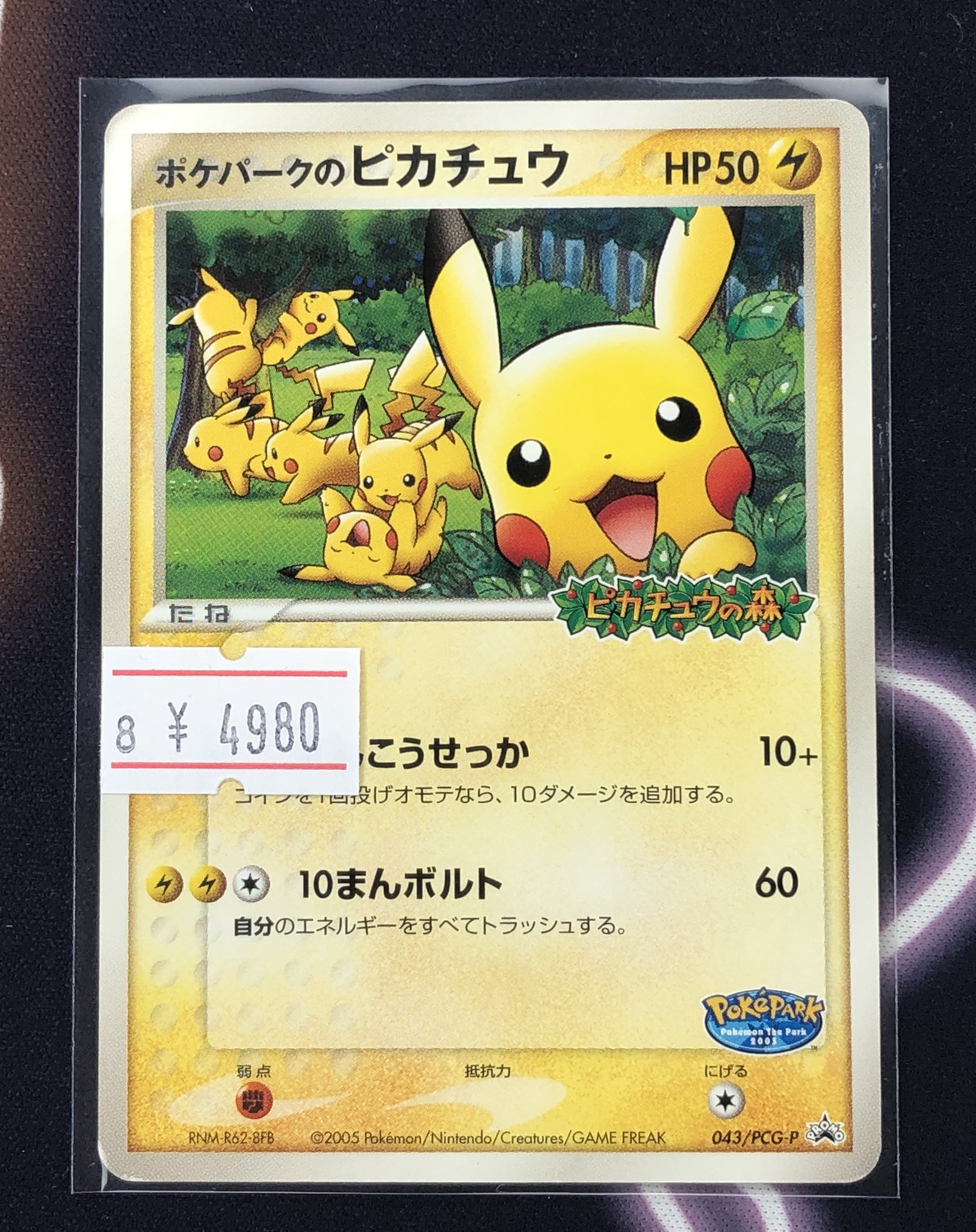 PDG Collector's Shop 名古屋 on X: 