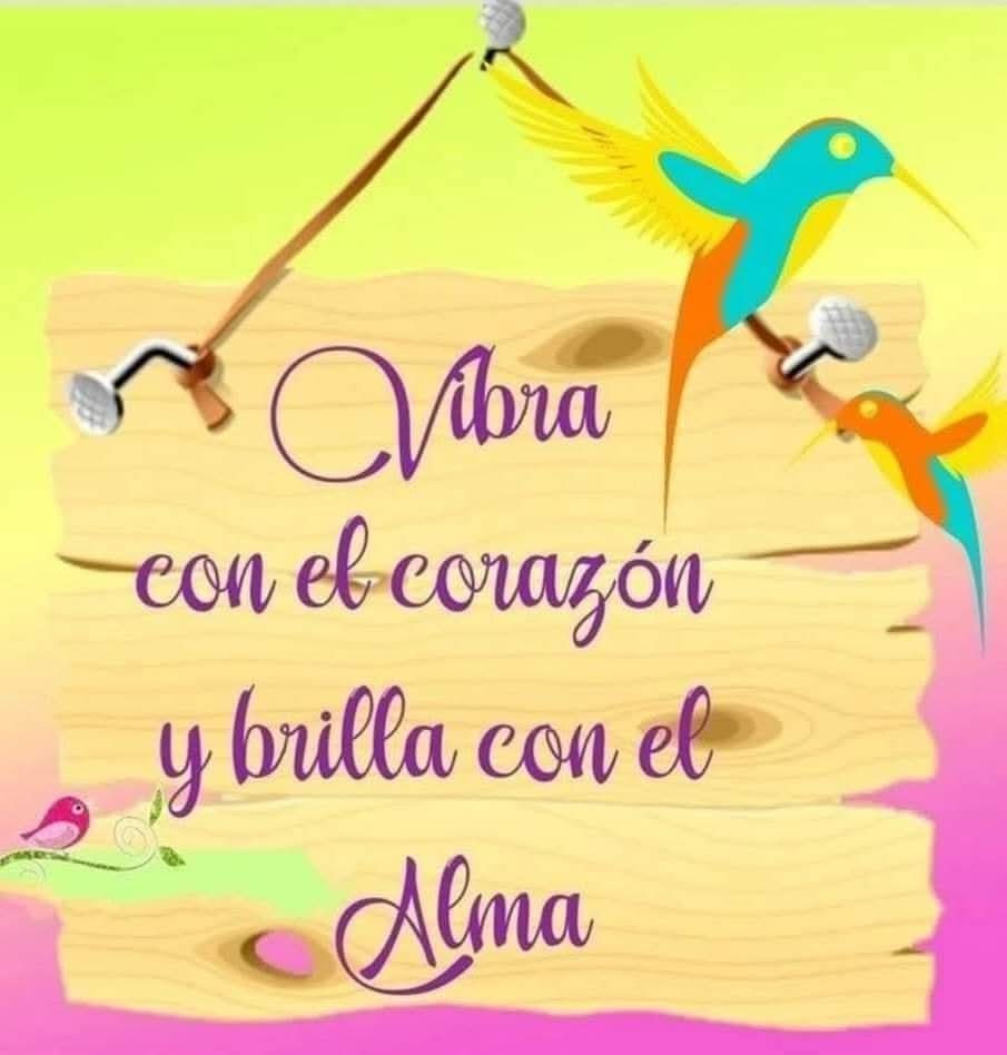 ARZAHE (@arzahe1) on Twitter photo <a href="/MarielaAlvear/">mariela alvear</a> <a href="/aldana_tono/">Toño Aldana</a> <a href="/katiuskaedo/">katiu</a> <a href="/jeps2009/">Juan Palma</a> <a href="/albitaros/">Alba Rosa</a> <a href="/AyleenBravoR1/">Ayleen Bravo R</a> <a href="/pedrosalazar420/">El ajedrecista...</a> <a href="/wilis_rd/">𝓦𝓲𝓵𝓲𝓼 𝓡𝓾𝓲𝔃 𝓓í𝓪𝔃</a> <a href="/Agro_pecuario86/">TORVIC</a> <a href="/153c1308f64c498/">german ayala-osorio</a> <a href="/arodarlabola/">a rodar la bola</a> <a href="/Inefable_4444/">🇨🇴🇵🇸INEFABLE4444🇨🇴🇵🇸🐝</a> <a href="/InesRIglesias4/">Ines R Iglesias</a> <a href="/ToroSentad92913/">ToroSentado</a> <a href="/mlagder/">Martha de Restrepo</a> <a href="/CanavalLuz/">luz canaval</a> <a href="/ElizbethCristi7/">Elizabeth Ortíz</a> <a href="/oscarrodril01/">Oscar Rodriguez</a> <a href="/oscarnain/">Oscar Nain Osorio R.</a> Buen día querida y demás amigos presentes, bendiciones hoy y mañana 😊🙏 <a href="/MarielaAlvear/">mariela alvear</a> <a href="/aldana_tono/">Toño Aldana</a> <a href="/katiuskaedo/">katiu</a> <a href="/jeps2009/">Juan Palma</a> <a href="/albitaros/">Alba Rosa</a> <a href="/AyleenBravoR1/">Ayleen Bravo R</a> <a href="/pedrosalazar420/">El ajedrecista...</a> <a href="/wilis_rd/">𝓦𝓲𝓵𝓲𝓼 𝓡𝓾𝓲𝔃 𝓓í𝓪𝔃</a> <a href="/Agro_pecuario86/">TORVIC</a> <a href="/153c1308f64c498/">german ayala-osorio</a> <a href="/arodarlabola/">a rodar la bola</a> <a href="/Inefable_4444/">🇨🇴🇵🇸INEFABLE4444🇨🇴🇵🇸🐝</a> <a href="/InesRIglesias4/">Ines R Iglesias</a> <a href="/ToroSentad92913/">ToroSentado</a> <a href="/mlagder/">Martha de Restrepo</a> <a href="/CanavalLuz/">luz canaval</a> <a href="/ElizbethCristi7/">Elizabeth Ortíz</a> <a href="/oscarrodril01/">Oscar Rodriguez</a> <a href="/oscarnain/">Oscar Nain Osorio R.</a> Buen día querida y demás amigos presentes, bendiciones hoy y mañana 😊🙏