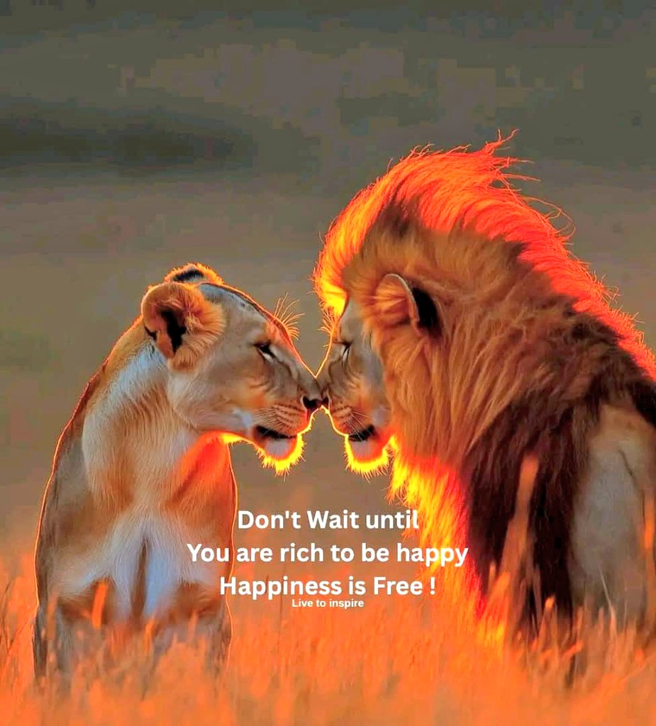 Good afternoon x community😊