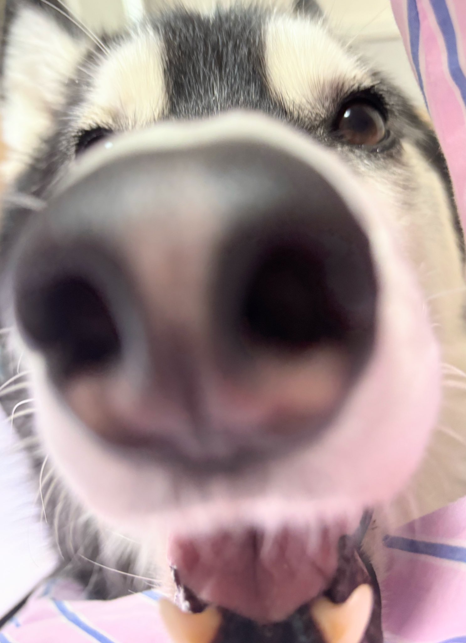 あーちゃんさま確認ページ♥ GyEBUWhaYAAcp7N.jpg