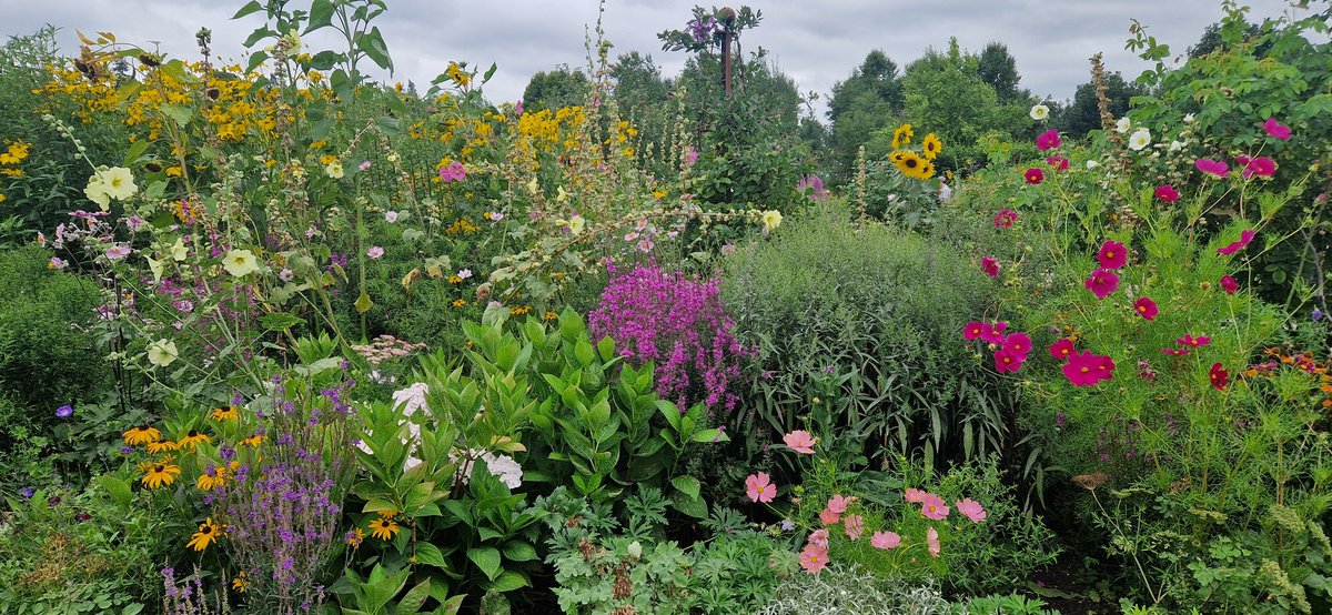 I will cheer up Twitter today by sharing this lovely picture I took at RHS Hyde Hall yesterday.