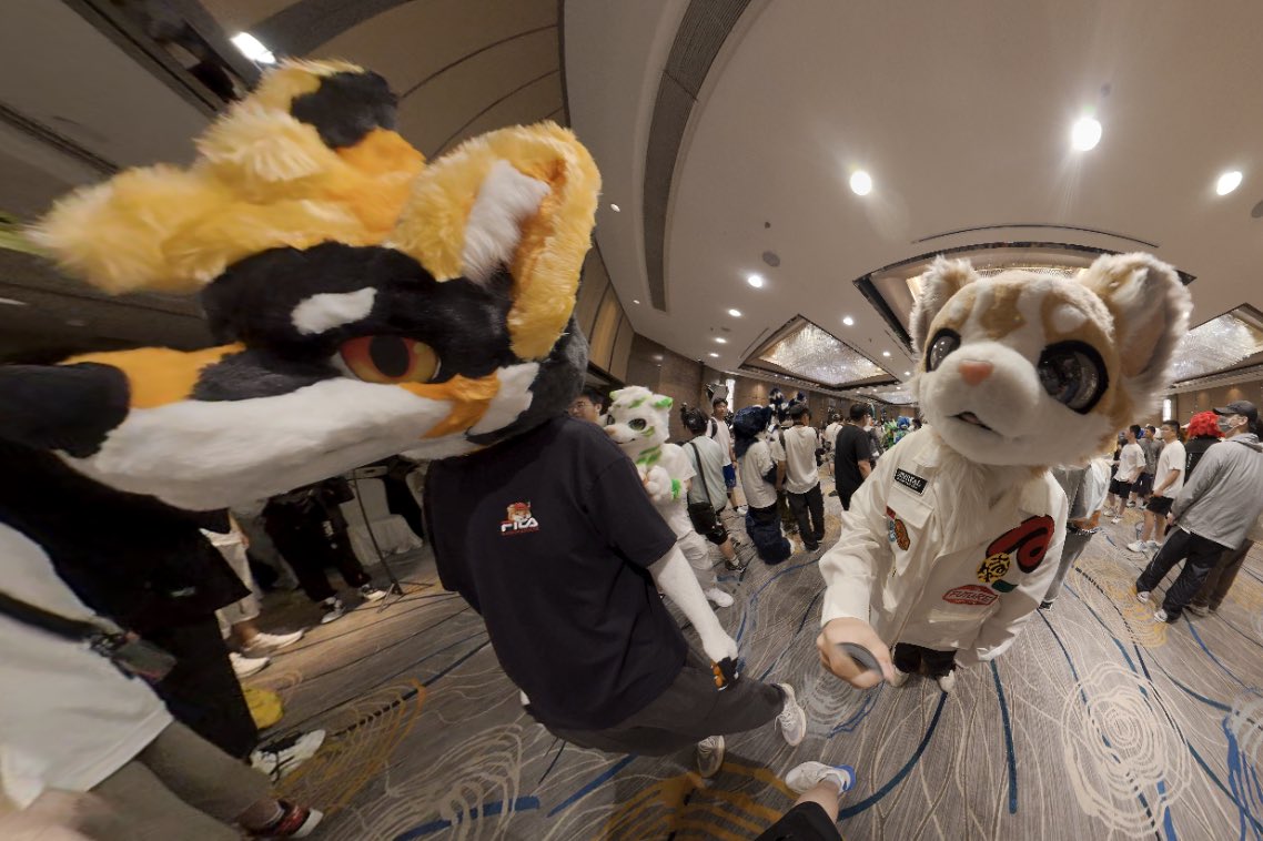 狗说谎了～～

拍照：@猫山王豆浆